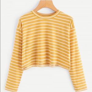 long sleeved striped crop top